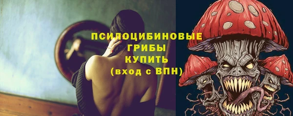 2c-b Алзамай