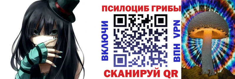 Купить где  Губкин  Галлюциногенные грибы Magic Shrooms 